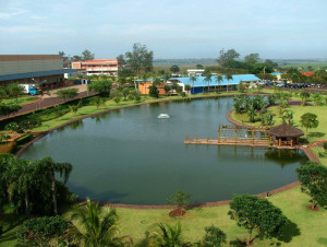 ourofino)clima_aereo